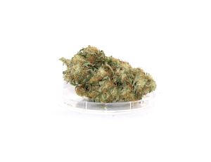 Sativa Poland Susz CBG ”KWIATY Z KOMBINATU” - image 2